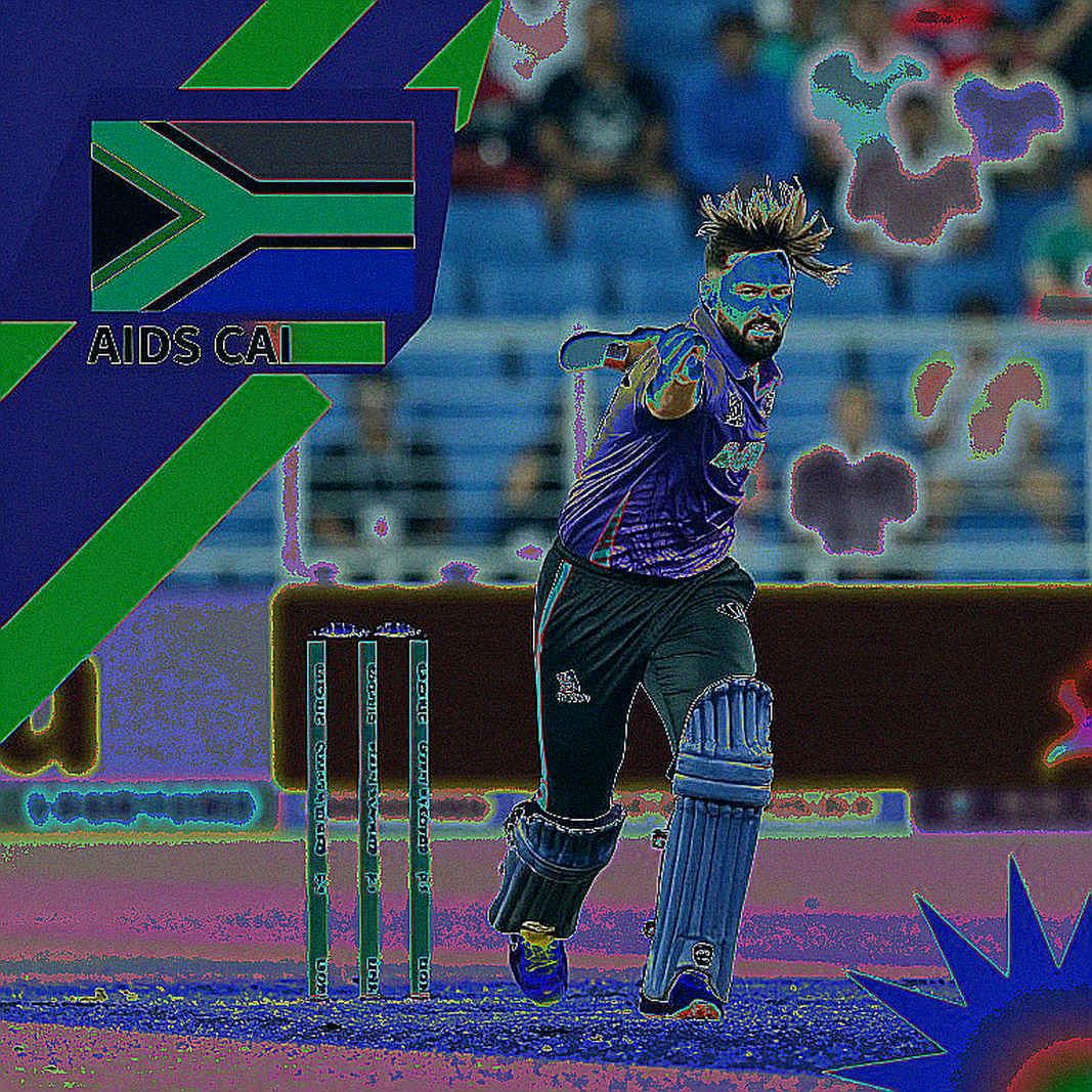 Auction Air, Port-City Tide: The Gap Between Price and Worth in Franchise Cricket Auction Air, Port-City Tide: The Gap Between Price and Worth in Franchise Cricket