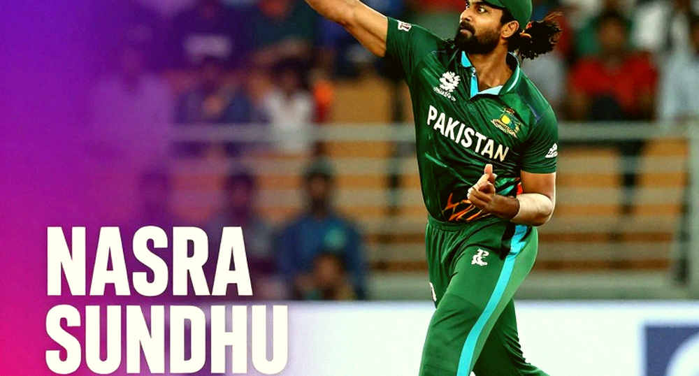 Empty Input, Unshaken Integrity: When the Second Stage of Cricket Analysis Stops at 'Unknown'